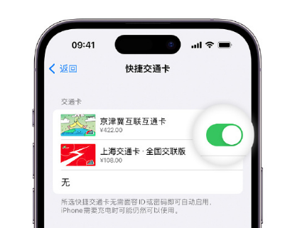 德宏apple维修点分享iPhone上更换Apple Pay快捷交通卡手绘卡面 