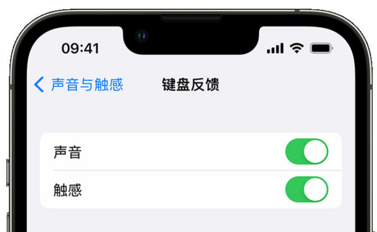 德宏苹果手机维修分享iPhone 14触感键盘使用方法 