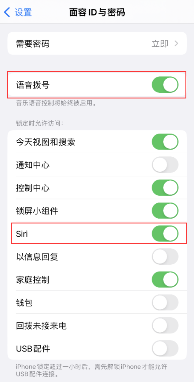 德宏苹果维修网点分享不解锁 iPhone 的情况下通过 Siri 拨打电话的方法 