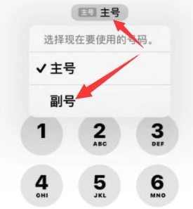 德宏苹果14维修店分享iPhone 14 Pro Max使用副卡打电话的方法 