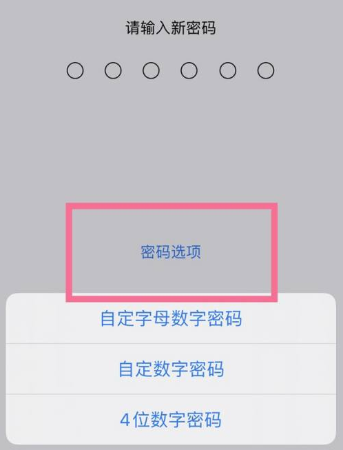 德宏苹果14维修分享iPhone 14plus设置密码的方法 