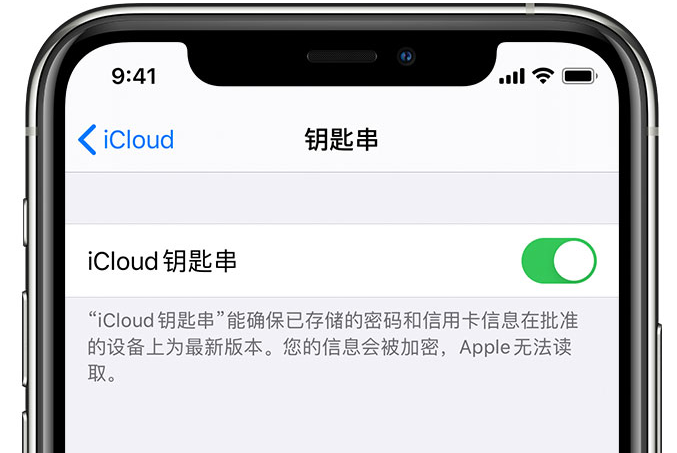 德宏苹果手机维修分享在 iPhone 上开启 iCloud 钥匙串之后会储存哪些信息 