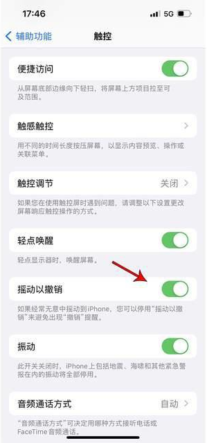 德宏苹果手机维修分享iPhone手机如何设置摇一摇删除文字 